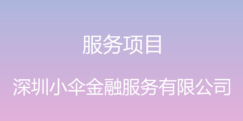 服务项目 - 深圳小伞金融服务有限公司