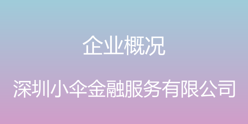 企业概况 - 深圳小伞金融服务有限公司